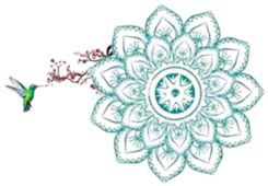 Logo sarah hays transparent